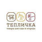 Дмитрий Бражников
