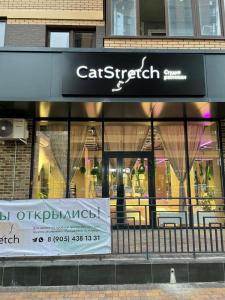 Фотография CatStretch 3