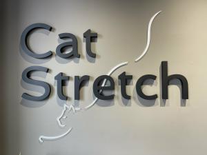 Фотография CatStretch 4