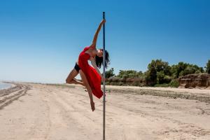Фотография Nivelada Pole Dance 3
