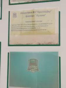 Фотография Детская академия 1