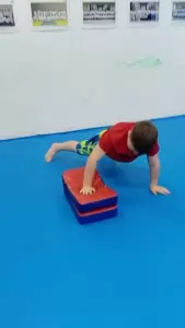 Фотография Такемусу Айкидо 2